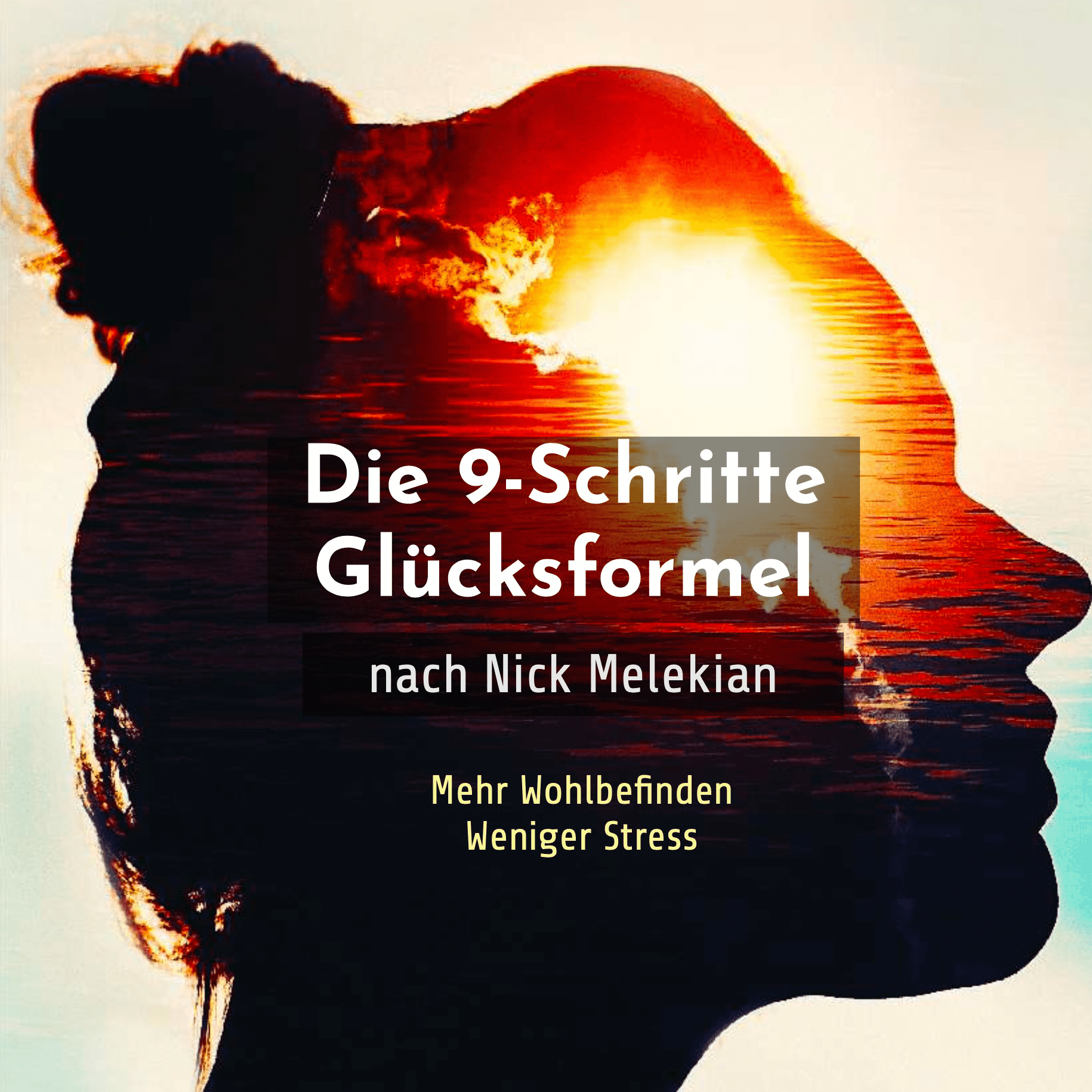 Die 9-Schritte Glücksformel nach Autor Nick Melekian